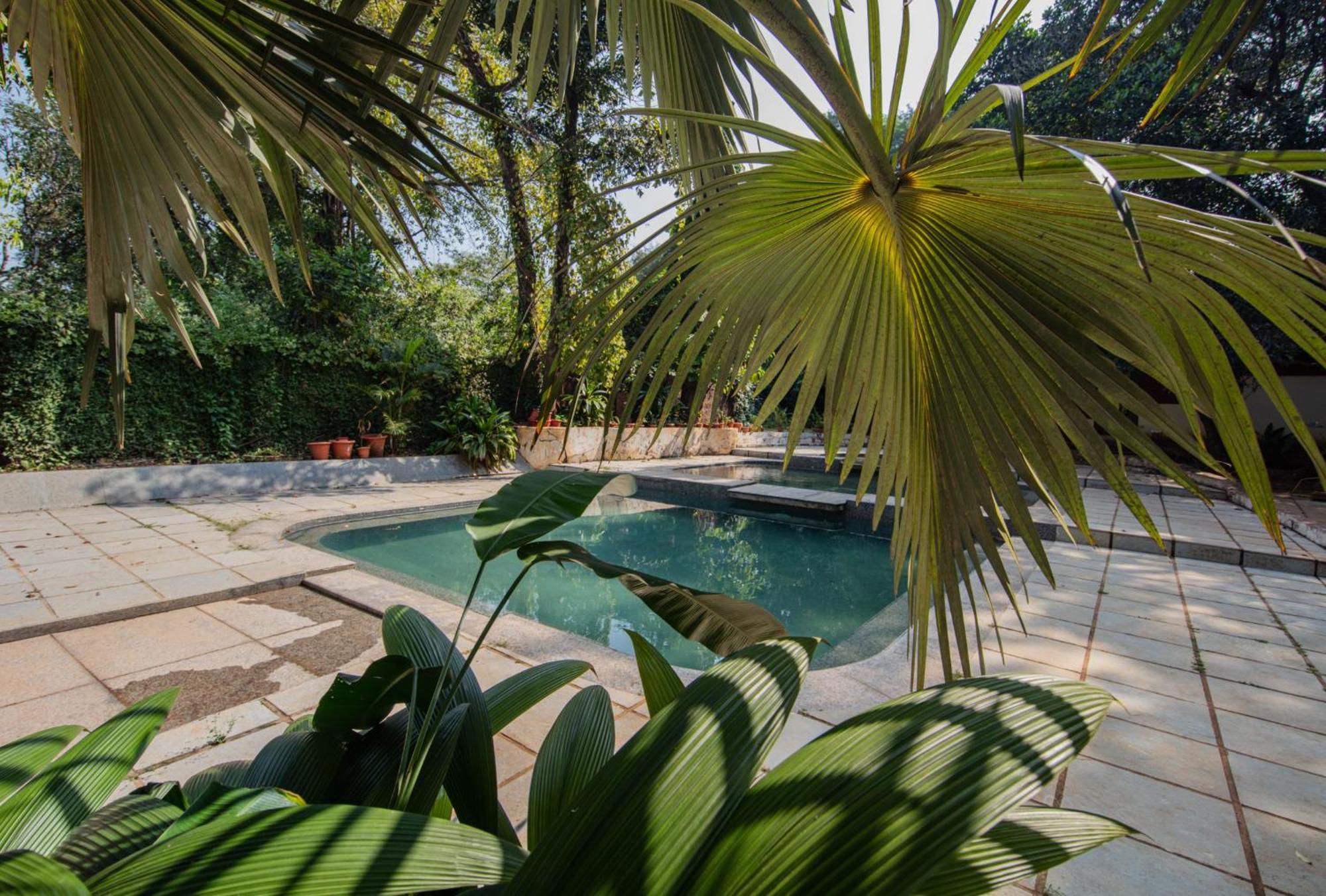 Satori Wellness I Yoga, Sauna, Ice Bath, Holistic Therapies & More Resort
